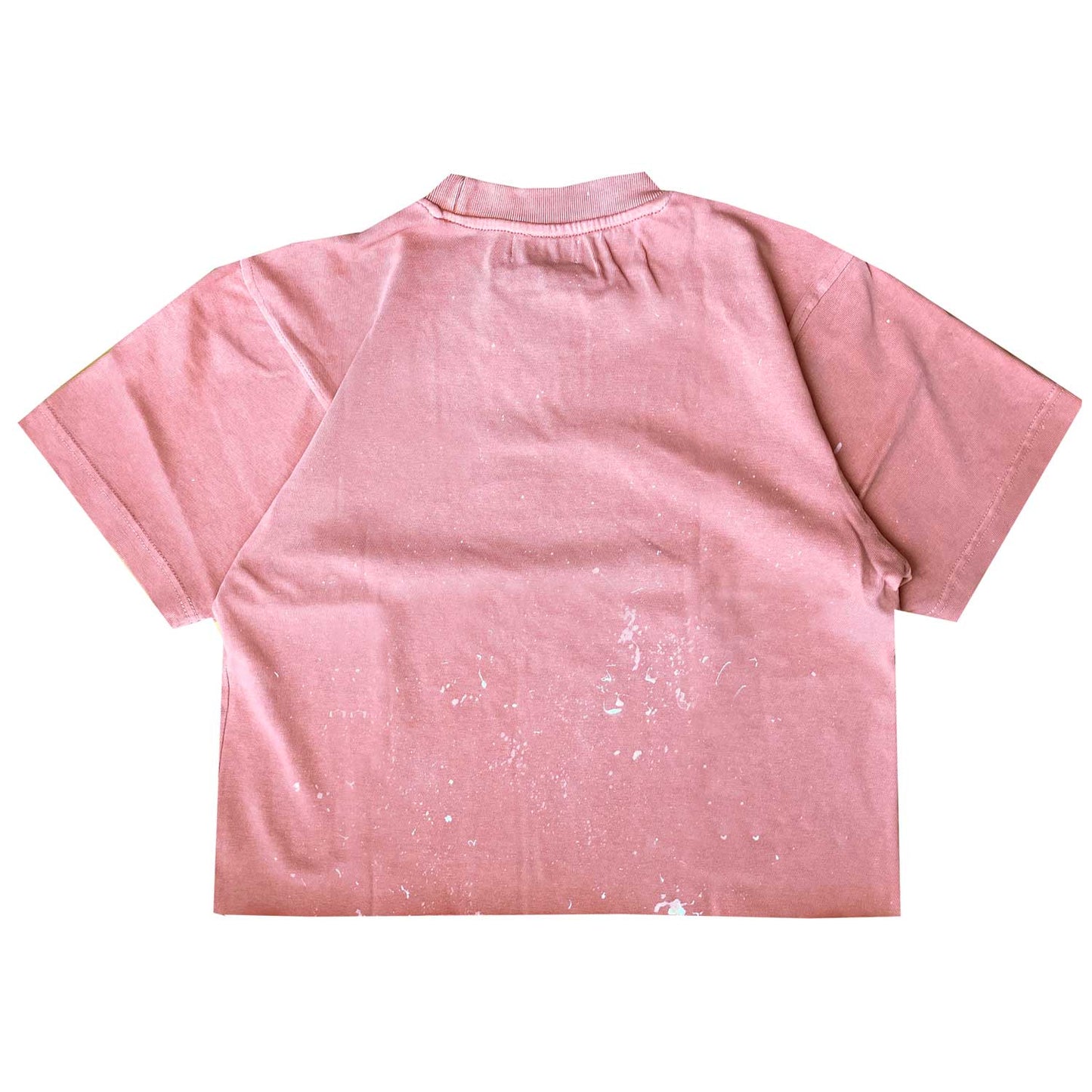 HEART DEPARTMENT PALETTE CROP TEE - SALMON