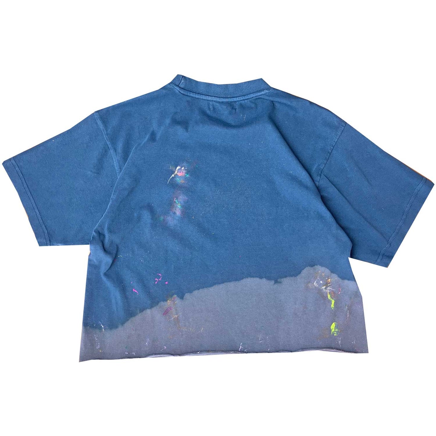 NEW! HEART DEPARTMENT PALETTE CROP TEE - SKY BLUE